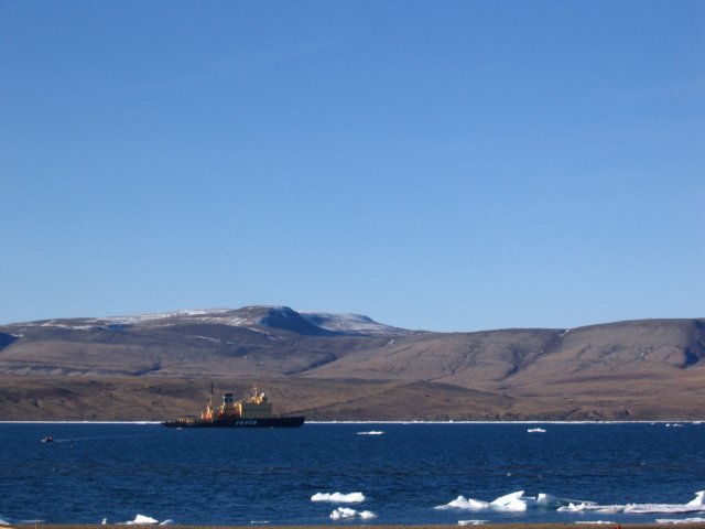 Photograph