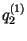 $q_2^{(1)}$