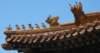 forbiddencityroof_small.jpg