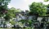 humbleadministratorsgarden2_small.jpg