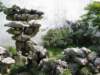 rocksinsuzhou_small.jpg