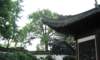 shanghairoof_small.jpg
