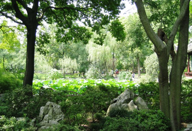 humbleadministratorsgarden.jpg
