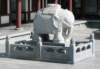 elephant_small.jpg