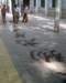 mandoingcalligraphyonthestreet_small.jpg