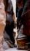 firstglimpseofthepetratreasury_small.jpg