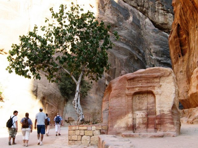 treenexttoarockcarving.jpg