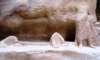 watertrough_small.jpg