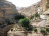 aviewofthevalley_small.jpg