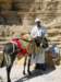 ourguideandhisdonkey_small.jpg