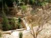 thebridgetothemonastery_small.jpg