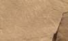 engraving4_small.jpg