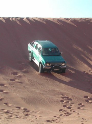 sanddunes2.jpg