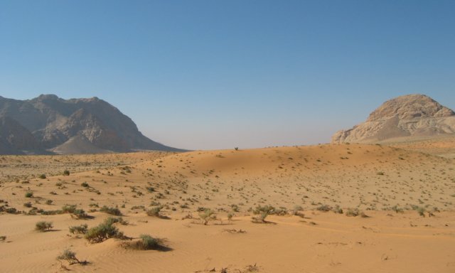 wadirum.jpg