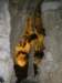 carlsbadcavern4_small.jpg