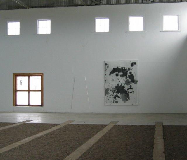 chinatifoundationartinstallationinmarfa4.jpg