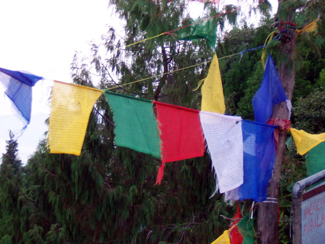 more prayer flags