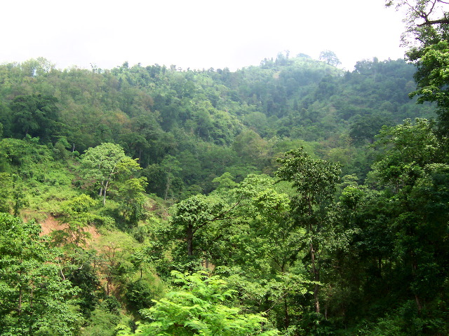 road to Darjeeling