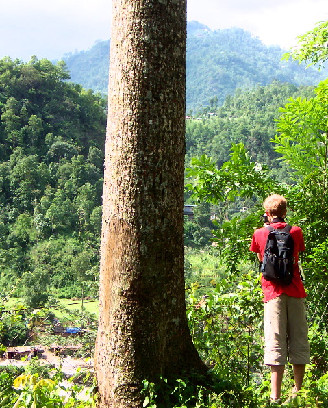 Andrew with a tree