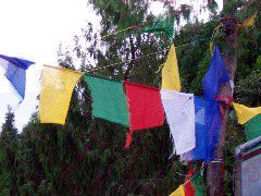 more prayer flags