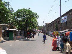 way to Shanti Dan