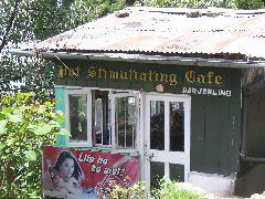 hot and stimuliating