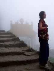 Esther in the fog
