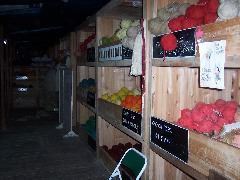 yarn stock