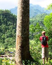 Andrew with a tree