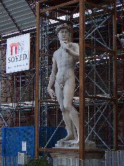 David