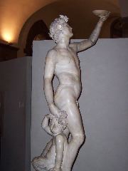 Baccus