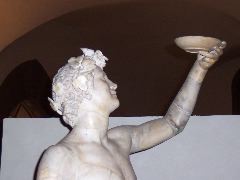 Baccus